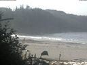 ./images/calvert/beach/20181018/beach20181018_104502.jpg
