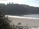 ./images/calvert/beach/20181018/beach20181018_115502.jpg