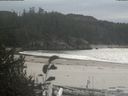 ./images/calvert/beach/20181019/beach20181019_142002.jpg