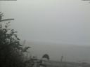 ./images/calvert/beach/20181021/beach20181021_094003.jpg