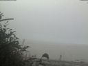 ./images/calvert/beach/20181021/beach20181021_094503.jpg