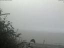 ./images/calvert/beach/20181021/beach20181021_095003.jpg