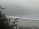./images/calvert/beach/20181021/beach20181021_131003.jpg