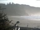 ./images/calvert/beach/20181022/beach20181022_163503.jpg