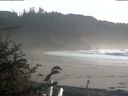 ./images/calvert/beach/20181022/beach20181022_164003.jpg