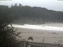 ./images/calvert/beach/20181023/beach20181023_094503.jpg