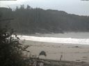 ./images/calvert/beach/20181023/beach20181023_102503.jpg