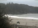 ./images/calvert/beach/20181023/beach20181023_103502.jpg