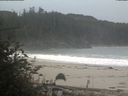 ./images/calvert/beach/20181023/beach20181023_105002.jpg