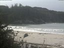 ./images/calvert/beach/20181024/beach20181024_112002.jpg