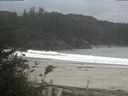 ./images/calvert/beach/20181024/beach20181024_160502.jpg
