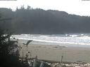 ./images/calvert/beach/20181025/beach20181025_105002.jpg