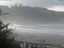 ./images/calvert/beach/20181109/beach20181109_104502.jpg