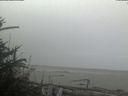 ./images/calvert/beach/20181110/beach20181110_085003.jpg