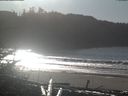 ./images/calvert/beach/20181205/beach20181205_125503.jpg