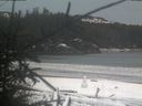 ./images/calvert/beach/20181215/beach20181215_161503.jpg