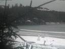 ./images/calvert/beach/20181215/beach20181215_163003.jpg