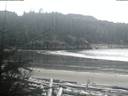 ./images/calvert/beach/20190108/beach20190108_084501.jpg