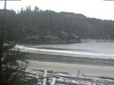 ./images/calvert/beach/20190108/beach20190108_101003.jpg