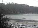 ./images/calvert/beach/20190108/beach20190108_162502.jpg