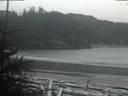 ./images/calvert/beach/20190108/beach20190108_165003.jpg