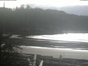 ./images/calvert/beach/20190117/beach20190117_135001.jpg