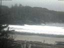./images/calvert/beach/20190120/beach20190120_081002.jpg