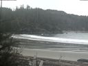 ./images/calvert/beach/20190124/beach20190124_114502.jpg