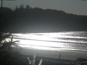 ./images/calvert/beach/20190203/beach20190203_133503.jpg