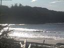 ./images/calvert/beach/20190204/beach20190204_125001.jpg