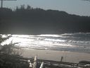 ./images/calvert/beach/20190208/beach20190208_130502.jpg