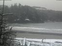 ./images/calvert/beach/20190215/beach20190215_104503.jpg
