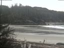./images/calvert/beach/20190223/beach20190223_094002.jpg