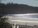 ./images/calvert/beach/20190305/beach20190305_134001.jpg