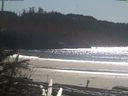 ./images/calvert/beach/20190305/beach20190305_135502.jpg