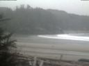 ./images/calvert/beach/20190311/beach20190311_091002.jpg