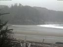 ./images/calvert/beach/20190311/beach20190311_115503.jpg