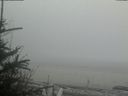 ./images/calvert/beach/20190329/beach20190329_185502.jpg