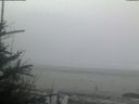 ./images/calvert/beach/20190331/beach20190331_073002.jpg