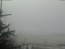 ./images/calvert/beach/20190331/beach20190331_092502.jpg