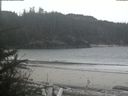 ./images/calvert/beach/20190403/beach20190403_122003.jpg