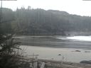 ./images/calvert/beach/20190408/beach20190408_091003.jpg
