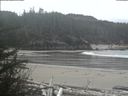 ./images/calvert/beach/20190426/beach20190426_115502.jpg