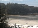 ./images/calvert/beach/20190507/beach20190507_101001.jpg