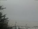 ./images/calvert/beach/20190510/beach20190510_100503.jpg