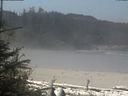 ./images/calvert/beach/20190510/beach20190510_113502.jpg