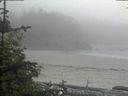 ./images/calvert/beach/20190528/beach20190528_161502.jpg