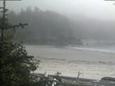 ./images/calvert/beach/20190528/beach20190528_164502.jpg