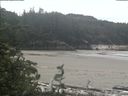 ./images/calvert/beach/20190606/beach20190606_113003.jpg