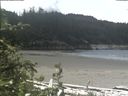 ./images/calvert/beach/20190606/beach20190606_125503.jpg